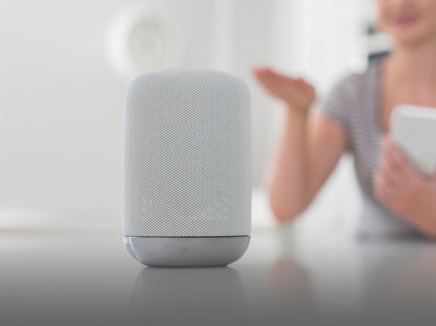 Insights Article - Voice assistants
